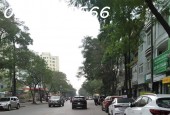 Bán Đất Kinh Doanh, Phố Đại Từ, ô tô tránh, 81m, Mt 5.6m, Giá hơn 9 tỷ.