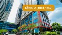 Bán gấp lô góc sàn văn phòng 1081,1m2 - Sở hữu lâu dài siêu hiếm quận Thanh Xuân - Sẵn khách thuê