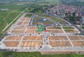 Đấu giá Tây Bắc Lễ Pháp, Tiên Dương, Đông Anh (Đợt 3)