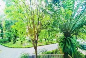 Biệt thự nhà vườn  Việt Hưng Long Biên Falm Garden 230m ,mt 12m ,nhỉnh 30 tỷ.