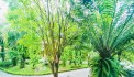 Biệt thự nhà vườn  Việt Hưng Long Biên Falm Garden 230m ,mt 12m ,nhỉnh 30 tỷ.