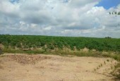 Cần bán gấp 1,7 mẫu  đất tại Xã Chư Răng- Huyện La Pa- Tỉnh Gia Lai