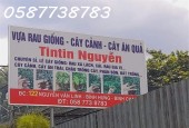 Qua năm về quê đầu tư, chính chủ cần sang nhượng cửa hàng bán cây kiểng, rau giống tại cơ sở 2.