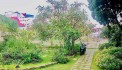 Cho thuê Biệt thự sân vườn Nam Hồ rất chill có sân đậu oto - Phường 11 – Đà Lạt