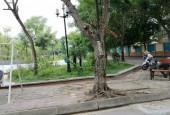 Đất Phân Lô Hàng Bè, Mậu Lương, 50m, chào giá hơn 5 Tỷ