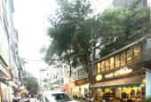 Bán nhà mặt phố Tam Khương 70m 5 tầng 2 mặt tiền vỉa hè kinh doanh sầm uất lh 0975124520
