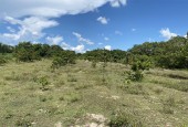 Cần bán  lô  đất 3  mẫu tại  huyện La Pa, tỉnh Gia Lai