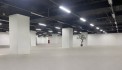 Cho thuê văn phòng logistics, bảo hiểm tòa Mipec, Tây Sơn, quận Đống Đa, 220m2, 500m2, giá rẻ nhất