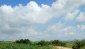 Cần bán  lô  đất 3  mẫu tại  huyện La Pa, tỉnh Gia Lai