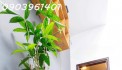 bán nhà mặt tiền lê văn việt -  76m2 - 4 tầng - giá 3 tỷ