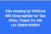 Cần nhượng lại 1.000m2 đất nông nghiệp tại xã Vạn Phúc, Thanh Trì, Hà Nội