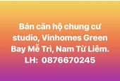 Chính chủ cần bán căn hộ chung cư  tòa SKY OASIS, Văn Giang (Ecopark), Hưng Yên.