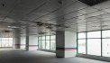 Cho thuê văn phòng logistics 150m2, 200m2, 250m2 tòa 319 Tower, Lê Văn Lương, quận Cầu Giấy