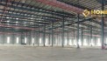 X658. CHO THUÊ KHO XƯỞNG KCN ĐÌNH VŨ 11.3HA CÓ PCCC TỰ ĐỘNG / READY BUILT FACTORY FOR LEASE