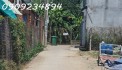 Cần bán nhà 1 trệt 1 lầu đường Bùi Hữu Nghĩa, P. Tân Hạnh, TP. Biên Hòa