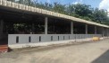 Cho Thuê Kho Xưởng Tại An Lập, Dầu Tiếng, Bình Dương - Diện Tích Đất 8.000m², Diện Tích Xưởng 5.500m², Văn Phòng Trong Xưởng, PCCC Tự Động, Pháp Lý