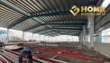 X717. CHO THUÊ KHO XƯỞNG TRONG KCN THỦY NGUYÊN HẢI PHÒNG CÓ PCCC TỰ ĐỘNG, TBA 1.000KVA/ READY BUILT FACTORY FOR LEASE / 仓库出租 / 장고 임대