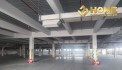 X692. CHO THUÊ KHO XƯỞNG KCN THÁI BÌNH 4.000M2 - 40.000M2 PCCC THẨM DUYỆT