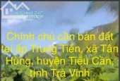 Chính chủ cần bán đất ấpTrung Tiến, xã Tân Hùng, huyện Tiểu Cần, tỉnh Trà Vinh