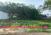 ĐẤT ĐẸP VỊ TRÍ KINH DOANH 10X38m2 mặt tiền nhựa, Phước Đông, Gò Dầu, Tây Ninh