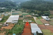 Bán đất view rừng thông tại Mimosa Đà Lạt 675m2 chỉ 2 tỷ