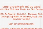 CHÍNH CHỦ BÁN  ĐẤT THỔ CƯ 290m2 (12x24m) Bình Hoà, Thuận  An, Bình Dương