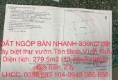 ĐẤT NGỘP BÁN NHANH 300m2 đất xây biệt thự vườn xã Tân Bình,Vĩnh Cửu