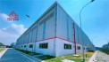 nhà xưởng sản xuất trong kcn Nhơn Trạch, thu hút SX đa dạng, nguồn vốn DNNN, FDI