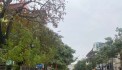 Hiếm mặt phố Ngô Xuân Quảng Trâu Quỳ, KD sầm uất, đông đúc 160m, mặt tiền: 8m, 29 tỷ
