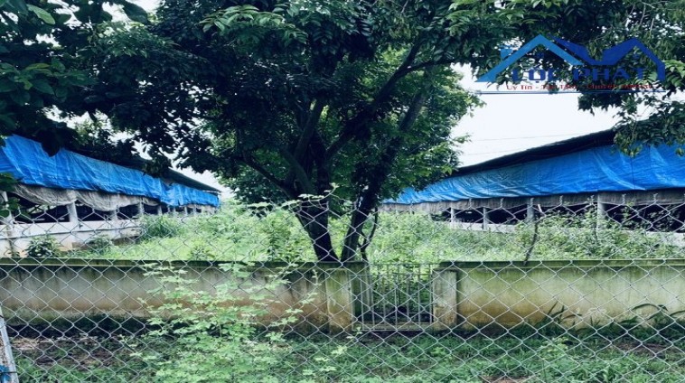 Bán trại heo 13,250m2 Hưng Thịnh, Trảng Bom 18 tỷ