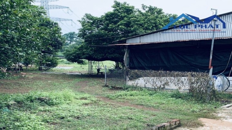Bán trại heo 13,250m2 Hưng Thịnh, Trảng Bom 18 tỷ