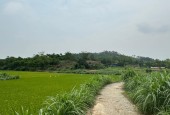 bán đất 8000m2 Xã Đồng Tĩnh, Tam Dương
