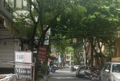 Phân lô phố Nguyễn Thị Định, ô tô tránh, vỉa hè kinh doanh 65m, 20.5 tỷ.