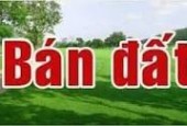 Bán nhà 2 tầng kiệt 7m mặt tiền chợ An Hải Đông,Sơn Trà.Dt 8,7m x 17m