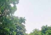 KỊCH ĐỘC! MẶT PHỐ HÀNG BÔNG - HOÀN KIẾM, KD Ô TÔ TRÁNH, VỈA HÈ
80M, 4T, MT: 4.5M, 65 TỶ