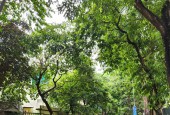 Bán Biệt Thự Bán Đảo Linh Đàm 254m x 5 Tầng Mt 12.5M Giá 48 Tỷ.