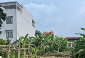 Bán đất đấu giá X4 xóm Đường, Khê Nữ, Nguyên Khê, Đông Anh.