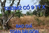 Bao Giá Toàn Sài Gòn 1333m2 Đất 9 tỷ x Nguyễn Thị Nói Củ Chi TPHCM