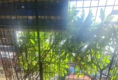 Bán nhà tập thể Giải Phóng Thanh Xuân 120m 5 ngủ gần Bách Kinh Xây nhỉnh 2 tỷ lh 0975124520