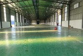 nhà xưởng cho thuê , Nền lót sơn sạch, khuôn viên cây xanh. đường nội khu hiện đại