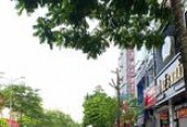 MẶT PHỐ NGUYỄN HOÀNG - NAM TỪ LIÊM, 2 THOÁNG, KD, VỈA HÈ DÒNG TIỀN 45TR/TH: 82M, 5T,  MT; 4.5M
