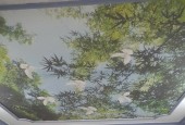 HXH thông Nguyễn Quý Yêm Bình Tân 56m2 2 tầng chỉ 4 tỷ 1
