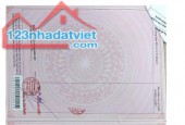 CHÍNH CHỦ BÁN NHANH ĐẤT  MẶT TIỀN ĐẸP Tại Cần Giuộc, Long An