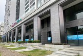 Siêu Phẩm Shophouse Phú Mỹ Hưng - Đầu Tư An Toàn, Lợi Nhuận Bền Vững Với Giá Trị Gia Tăng Mỗi Ngày