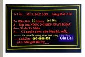 CẦN TÌM MUA ĐẤT LỚN: 10 (HECTA) - 300 (HECTA) QUANH KHU VỰC TP GIA NGHĨA. LH:0974848555.