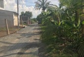 Bán nhà phố chính chủ Cần Giuộc, Long An giá cực rẻ