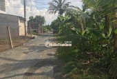 Cần bán nhà phố giá tốt tại khu vực Huyện Cần Giuộc, Long An