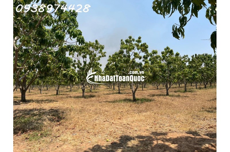 bán 14 ha. Đất tại xã Quãng Sơn - huyện Ninh Sơn. Ninh Thuận0938974428
