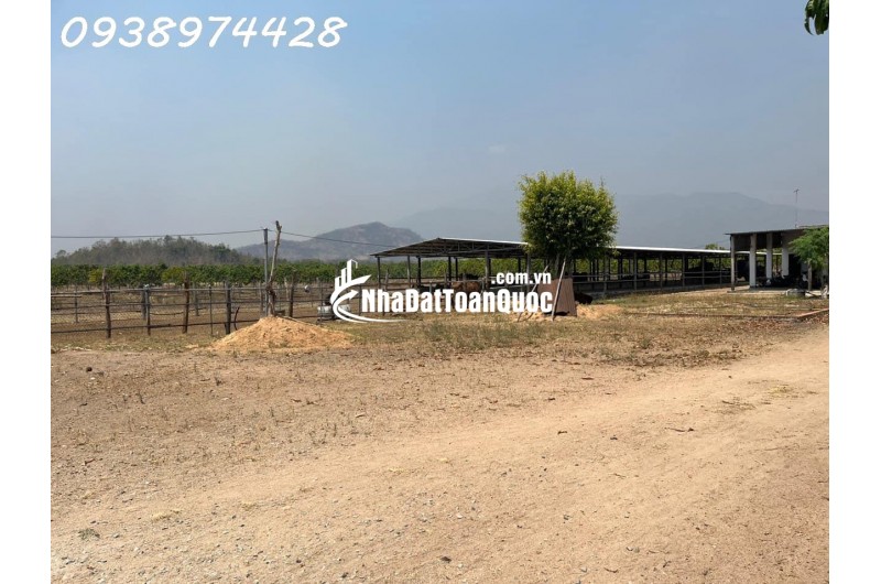 bán 14 ha. Đất tại xã Quãng Sơn - huyện Ninh Sơn. Ninh Thuận0938974428