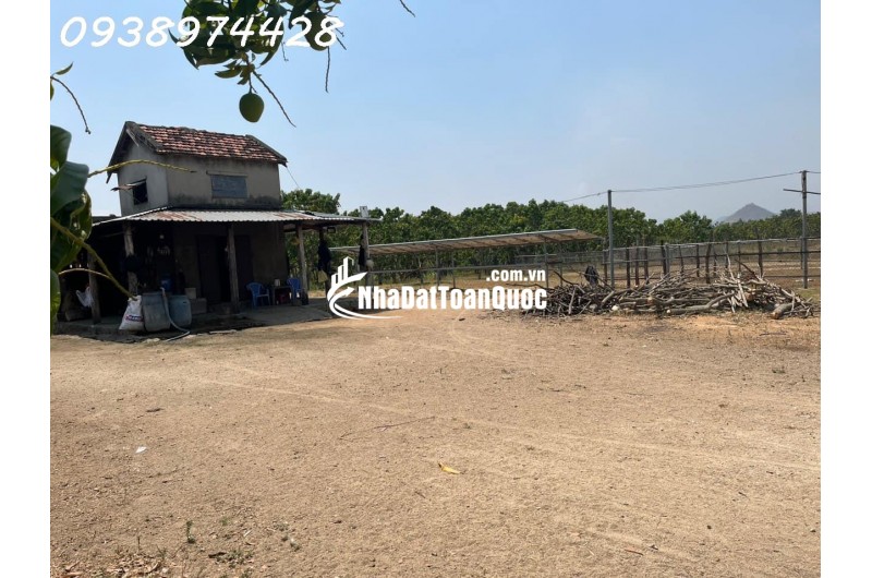 bán 14 ha. Đất tại xã Quãng Sơn - huyện Ninh Sơn. Ninh Thuận0938974428